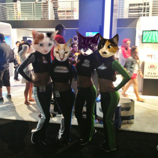 Illustration for article titled What If There Were Tons Of Cats Roaming E3 And No One Noticed?